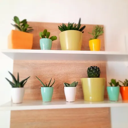 Enjoy Puglia Flats アパート